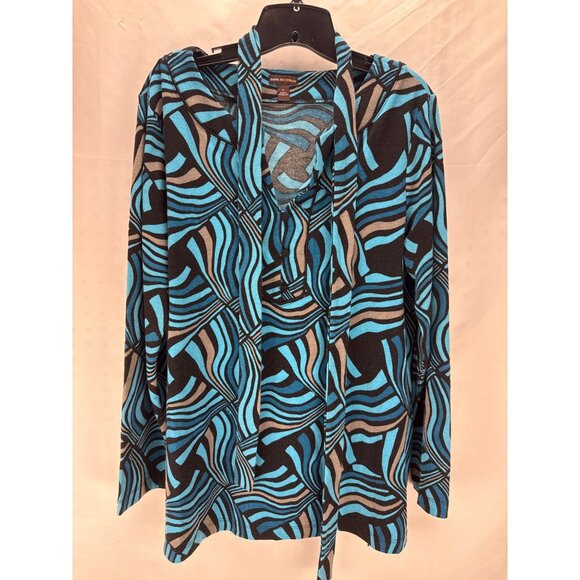 Dana Buchman Blue Zig Zag Print Blouse Pullover Top Size L Artsy Oversized - Picture 1 of 8